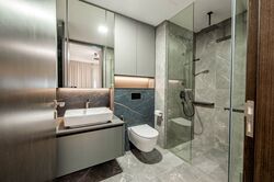 Irwell Hill Residences (D9), Apartment #585012871